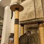Гостевой дом De Liz Y Fabrizio 4*