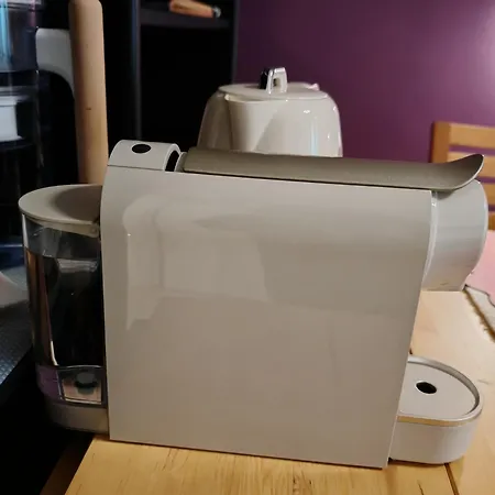 德利兹伊法布里奇奥旅馆 4* 罗马