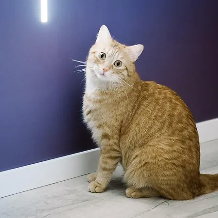 De Liz Y Fabrizio ローマ